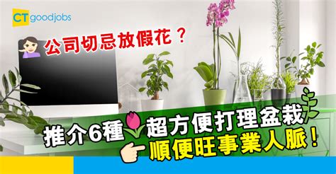 辦公室放假花|【辦公室放假花】辦公室擺放假花，小心運勢受阻！揭開風水玄機。